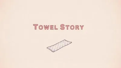 Towel Story