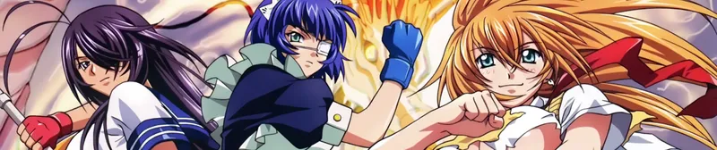 Ikkitousen: Dragon Destiny