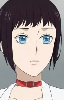 Himezuka, Theo