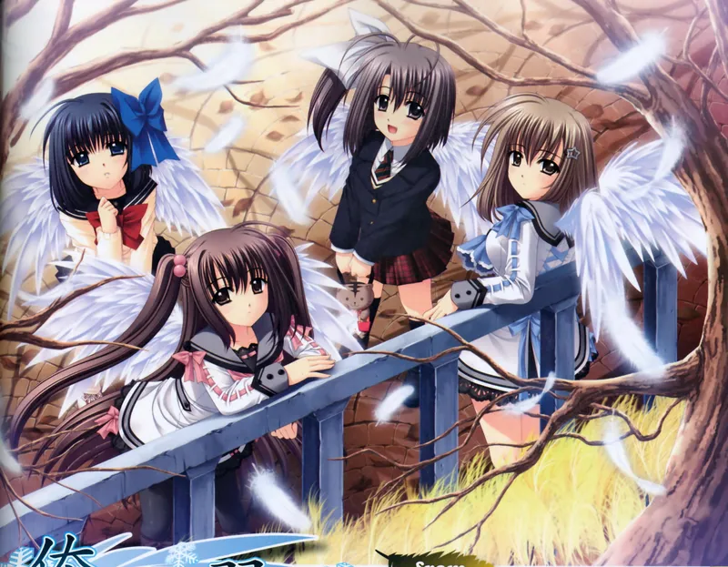 La serie ecchi harem "We Without Wings" ya está disponible en Crunchyroll y Hulu