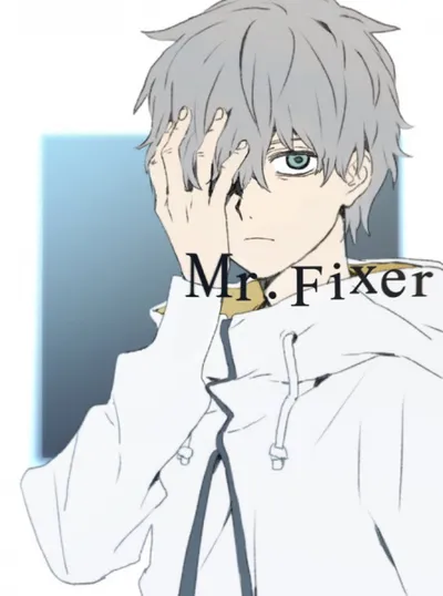 Mr. Fixer