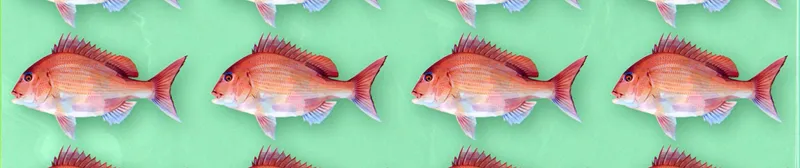 Negative Positive Angler ya está disponible en Crunchyroll