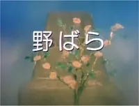 Nobara