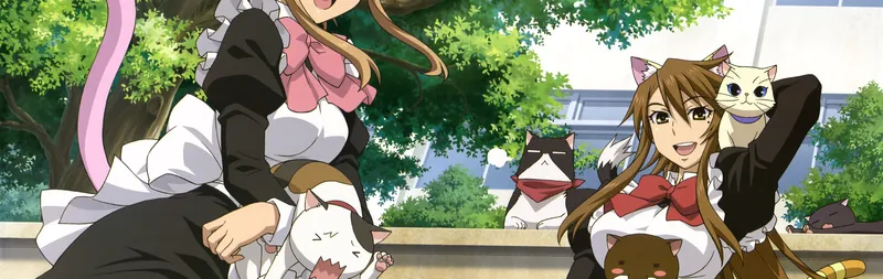 Nyan Koi! ya está disponible en HIDIVE y Hulu