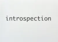 Introspection