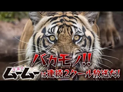 pv1