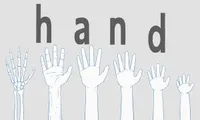 Hand