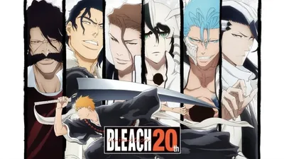 Bleach 20th Anime Anniversary